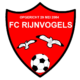 FC Rijnvogels